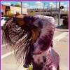 African Hair Braiding Feelings